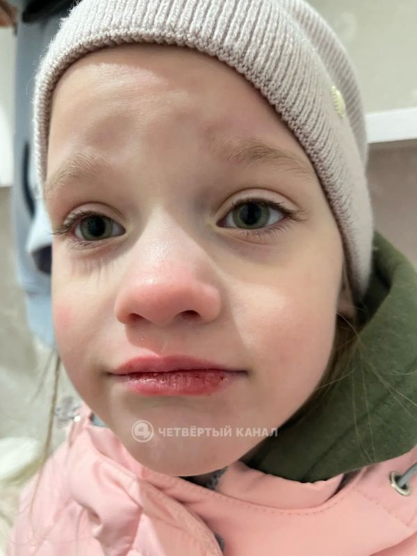 ����� ����� ����������������: �����������, �������� ������ � �������, ���������� �������� � ������� ����