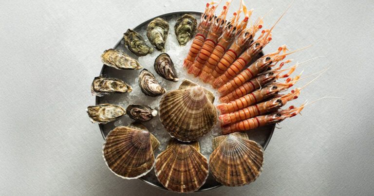 ����� ���������������� ����: Cafe Oltre ������ �� �������� Oltremare