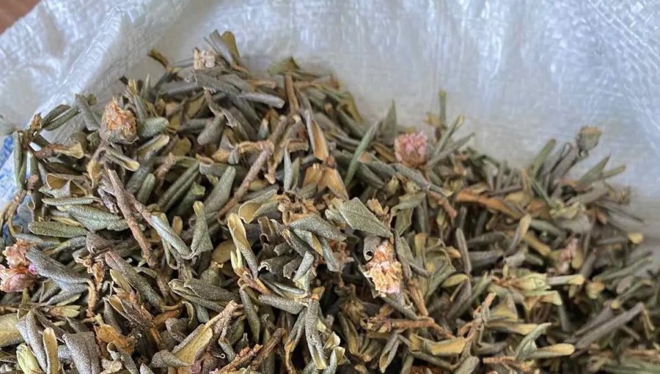 ������-����: �������� � ������� ������� �������� �������