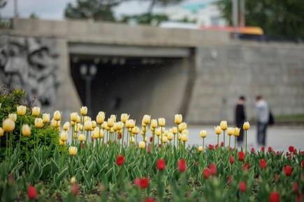 ������� �����: ������ ��������������� ��������� � ���������� ��������� �����������