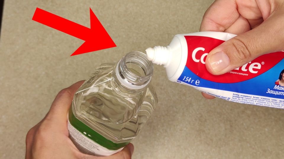 ��������� ��������� �����������: ��� ������ ����� � ����� ������������ � ������ �������� ��������