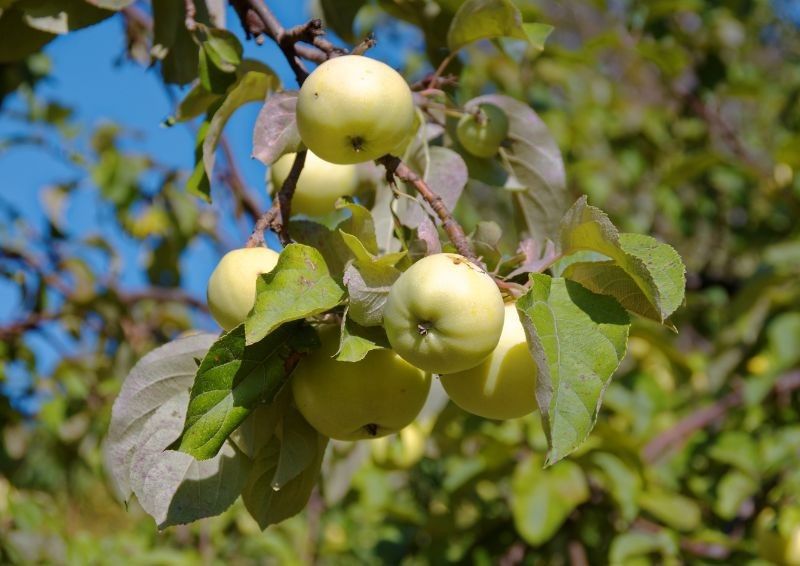 ��� ������� �������� ��������� ������� ������: ������ ���������