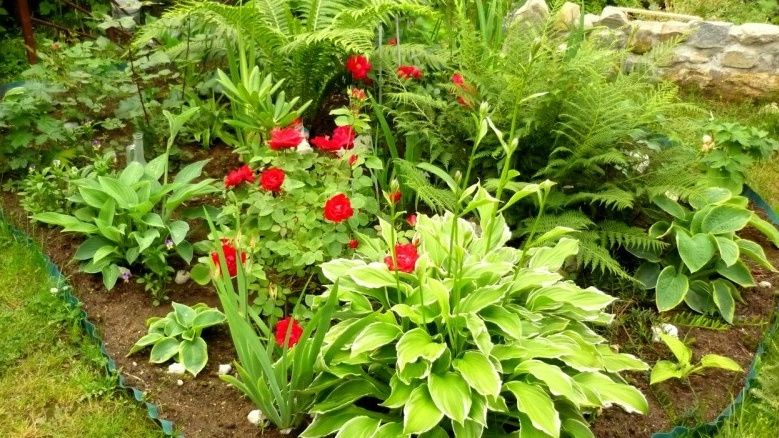 ��� ������� ��������� ������� ��� ��� � ����� ����