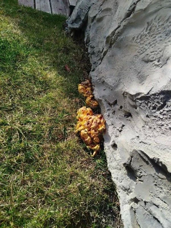 ������ ����� ������ ���������� � ������������ �������