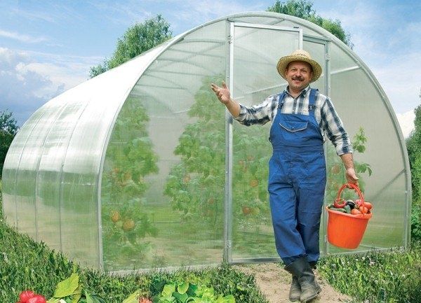 ������ ���� �� ��������: ��� ������� ��� �������� ��� ������ ������