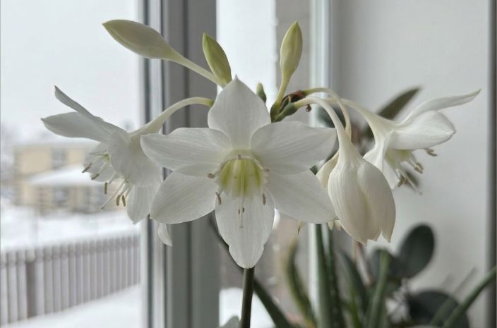 �����: 4 �������, ������ ��� ������ ����� �����