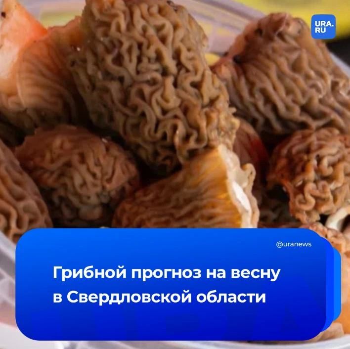 ����� � ������������ ������� �������� ��� � ����� ������