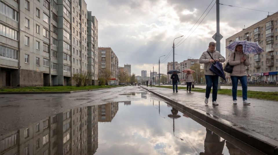 ������ ����, ����!. �������