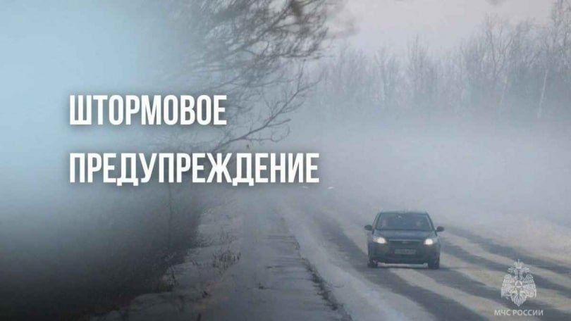 ��� �������������: �� ������������ ������� ����������� ������ ��������