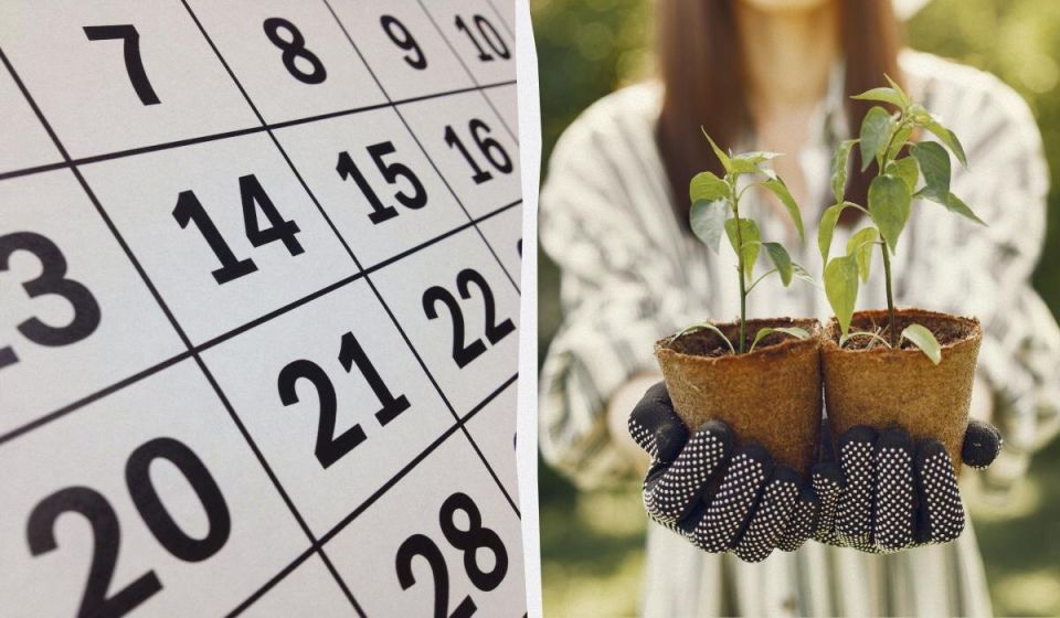 ������ ��������� ��� ������ � ����� 2026: �������� ������ ����� ��� �������