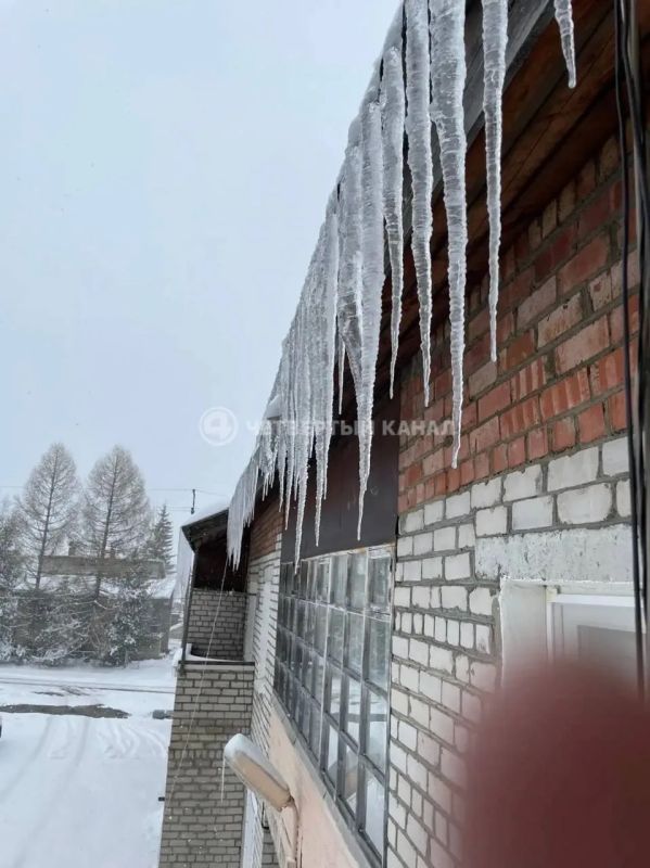 ������ ����� ������ �� ������: ������� �� 15 �� � ������������ �������� ������� � ������� ����� ����������� ���������