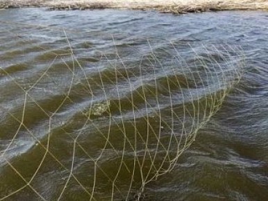 ���� ������ ������ ���� ������ � ������ ��������� �������