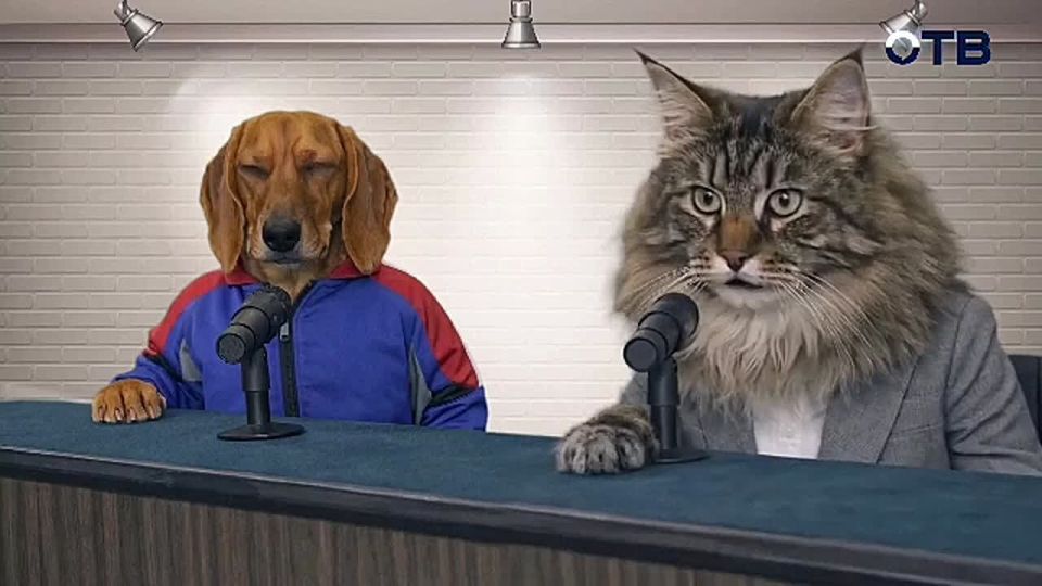 � ������ ������ ������� ���������� ������ �� ���������