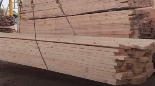 ������ ����: ������� ��������� 20 ���� ������������� ����� �� ���������