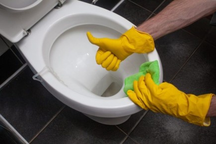 ����������� ������ �������: ��� ������������ ������� ������������