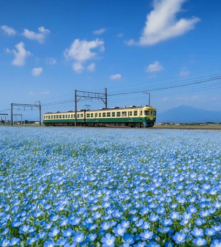 #��_�_���: � ������ ������� ����� �������� ������� ��������