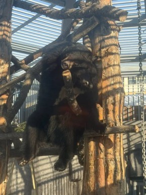 #����_���: ����������� ������� ����� ��������� ����� �� ��������