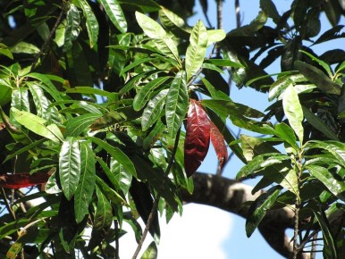 ����� ������ ��������: ��������� ������ ���� � ��� �����