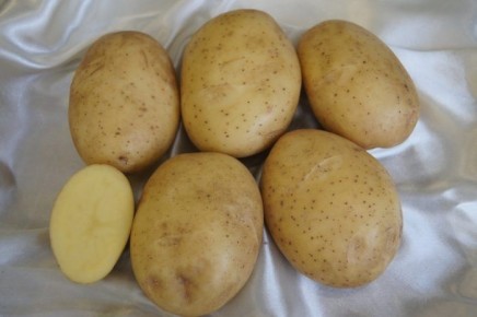 ��������� �����: ���������� ������ � ��������������� ������ � ������������ ����� ���������