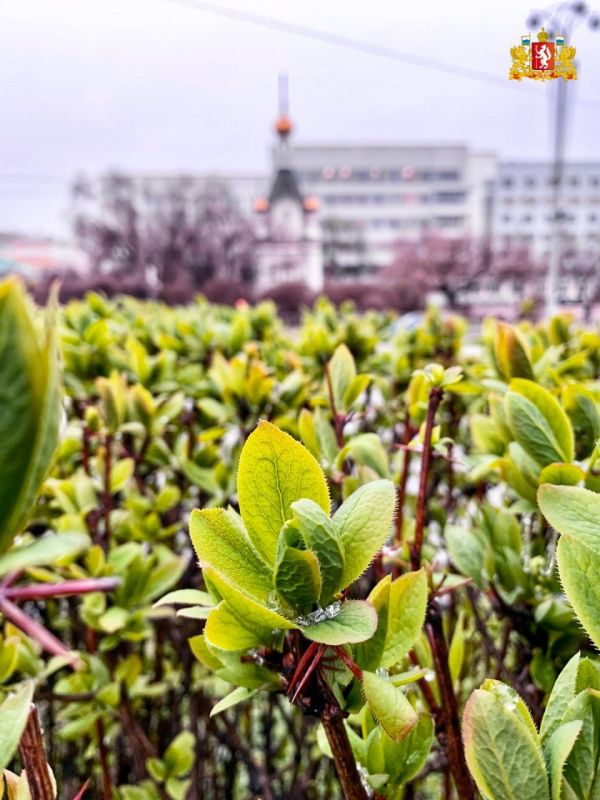 �������� ����� ������ ��������� ����� � ��� ���������� ����� � ������