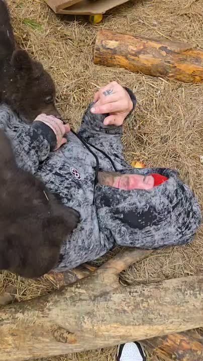 ��������� ���� ����� ������ ������� � ������� �������� ��������