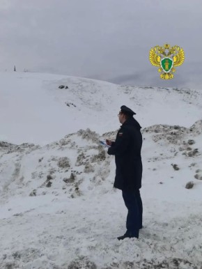 � ��������� ������ ����� ������ �������, ������� �������� � ���������� ������ �� �������������� ������ ���� � ��� �����