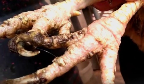 �������� ���� � �����: ��� ���������� � ������ �����������