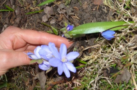 ������ ���������� ��� ������ ����: �����������, ������ � �����������