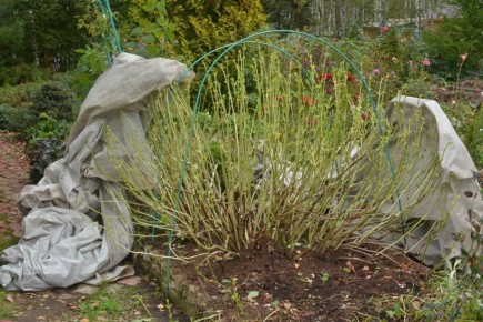 ��� ��������� ������ ��������� �� ����: ������� ������ ��� ���������