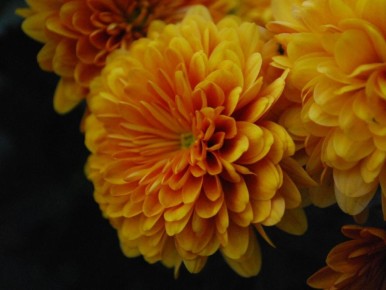 �������� �������� ���: ������� ������� ��� ���������� ����