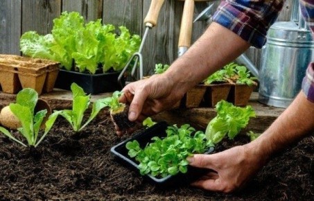 ������, ������� ����� �������� ��� ����������� �������: ������ ��� �������� ��������