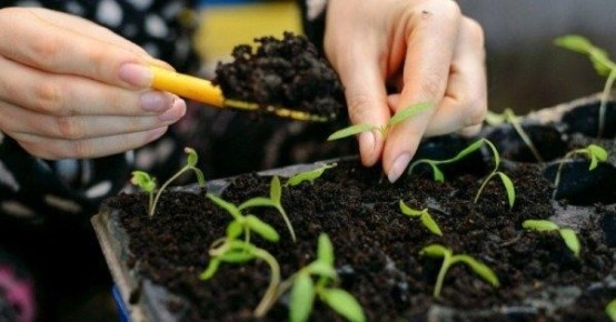 ��� ������� ��������� ����� ��� ����� �������