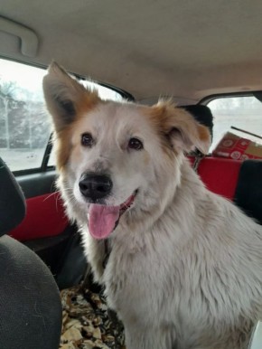 ������ ��������� � ������� � ������������ �������