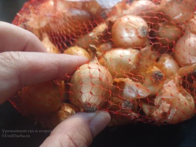 ������� �������� ������ ������� ����: ��� �������� �������� ������