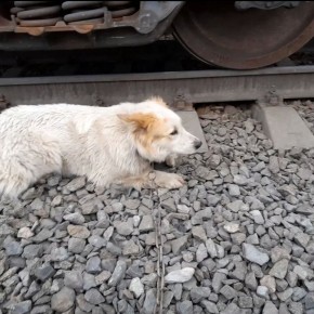 ������������ ������ ������, ����������� ����� � ��������������� �����