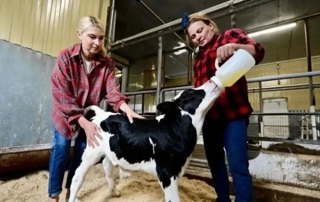 ����� ������: ���������������� �������� ������������ ����������������� ������������ �������� �����