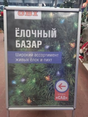 ������������ ������� ������ ���� ��� ������� ������������