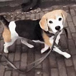 � ������ ��������� ������� ����� ��������� ������������ ����������� � ������ ����������