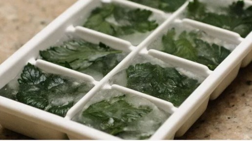 ��� ��������� ������ ������ �����: ������ ������ ���������