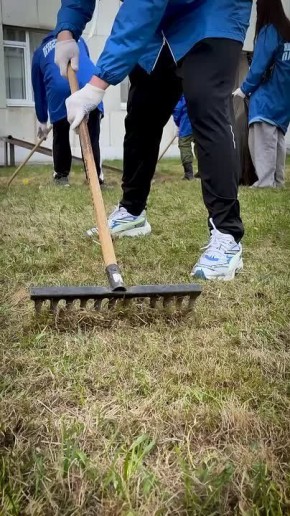 ����� ������ ������ � �������� ������������� ������ ������� � �������� ����������