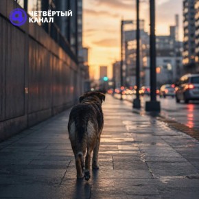 ������ ������ �������� �������� ���������� ������� � ������