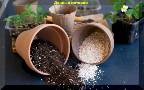 ��� ������� ��������� ����� ��� �������: ������ � ������������