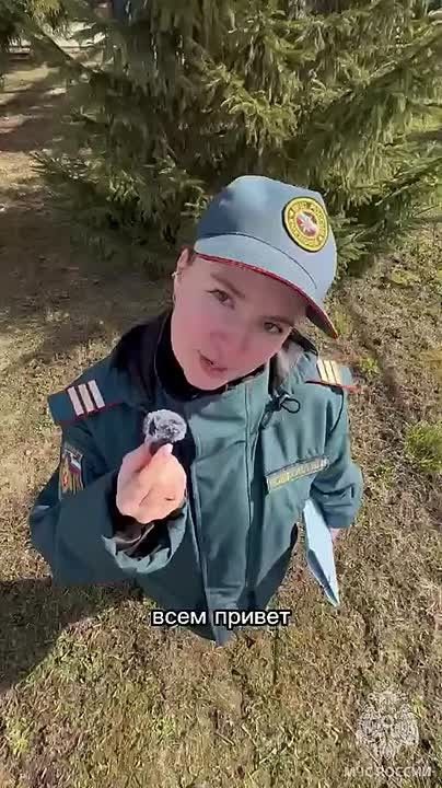 Один день инспектора профилактики пожаров: кто стоит за тишиной до вызова?