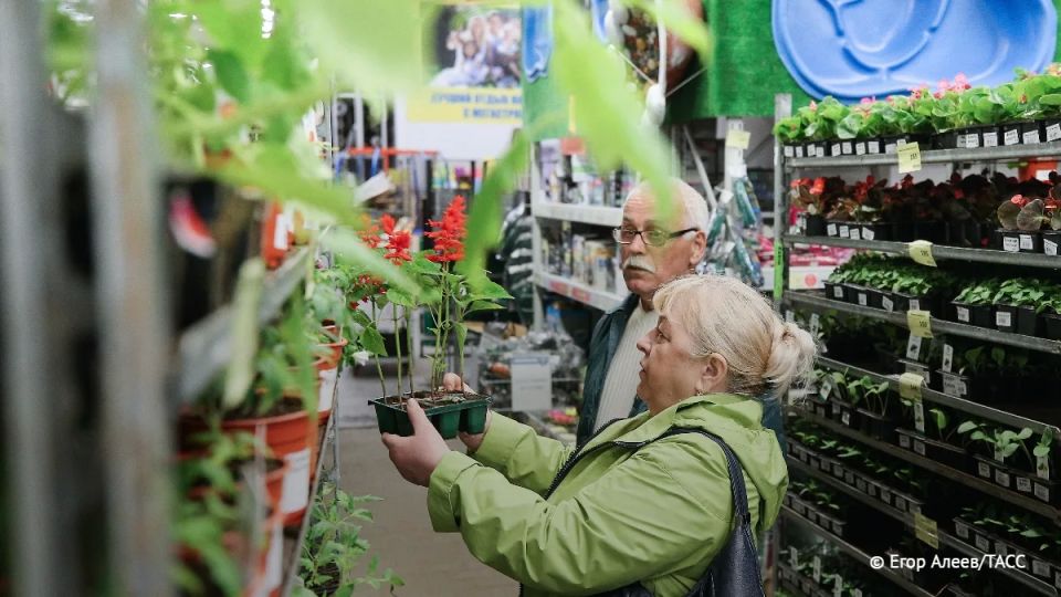 Уральские садоводы уже могут высаживать репчатый лук, морковь, петрушку и зелень
