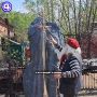 ���� ������� ������� � 9 ��� ��������� ������