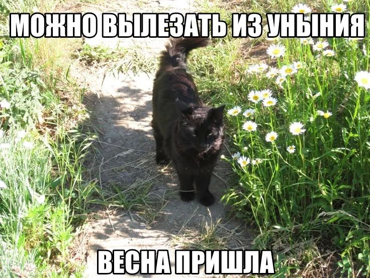 Апрель в Свердловской области был теплее климатической нормы