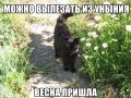 ������ � ������������ ������� ��� ������ ������������� �����