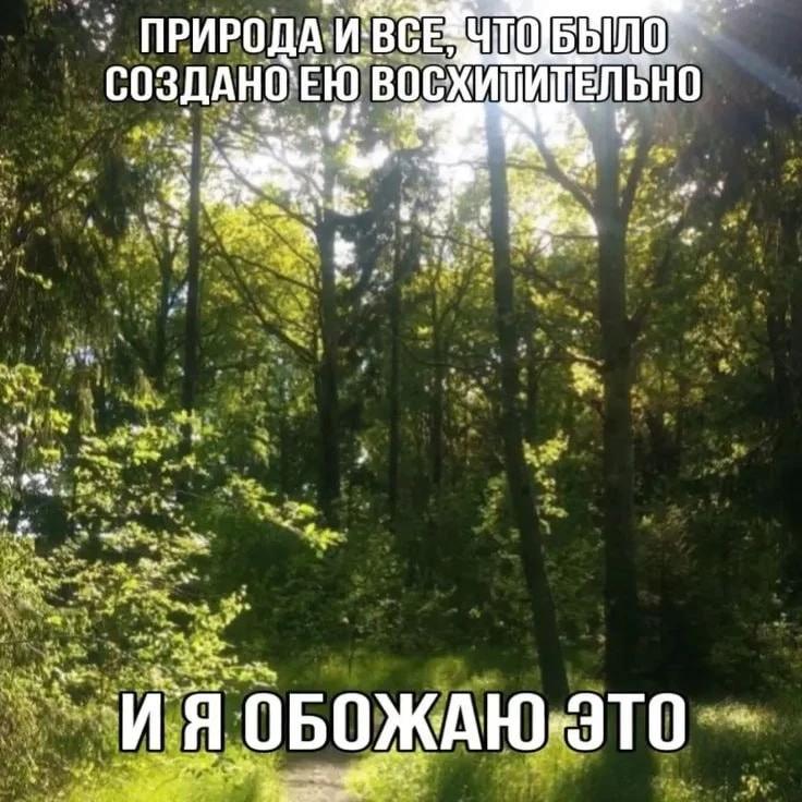 Сегодня, 11 мая, отмечается День любви к природе