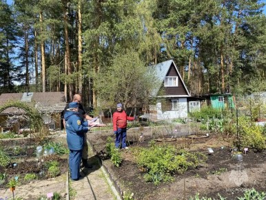 Итоги недели: работа патрульных групп