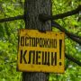 Клещи атакуют уральцев!. С начала сезона в Свердловской области от укусов клещей пострадали уже 5,3 тысячи человек